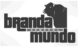 Senepol BrandaMundo