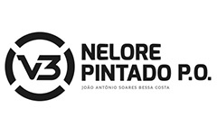 Nelore Pintado P.O.